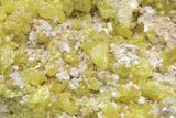 Sulfur Crystals on Matrix - Steamboat Springs, Nevada #209727-2